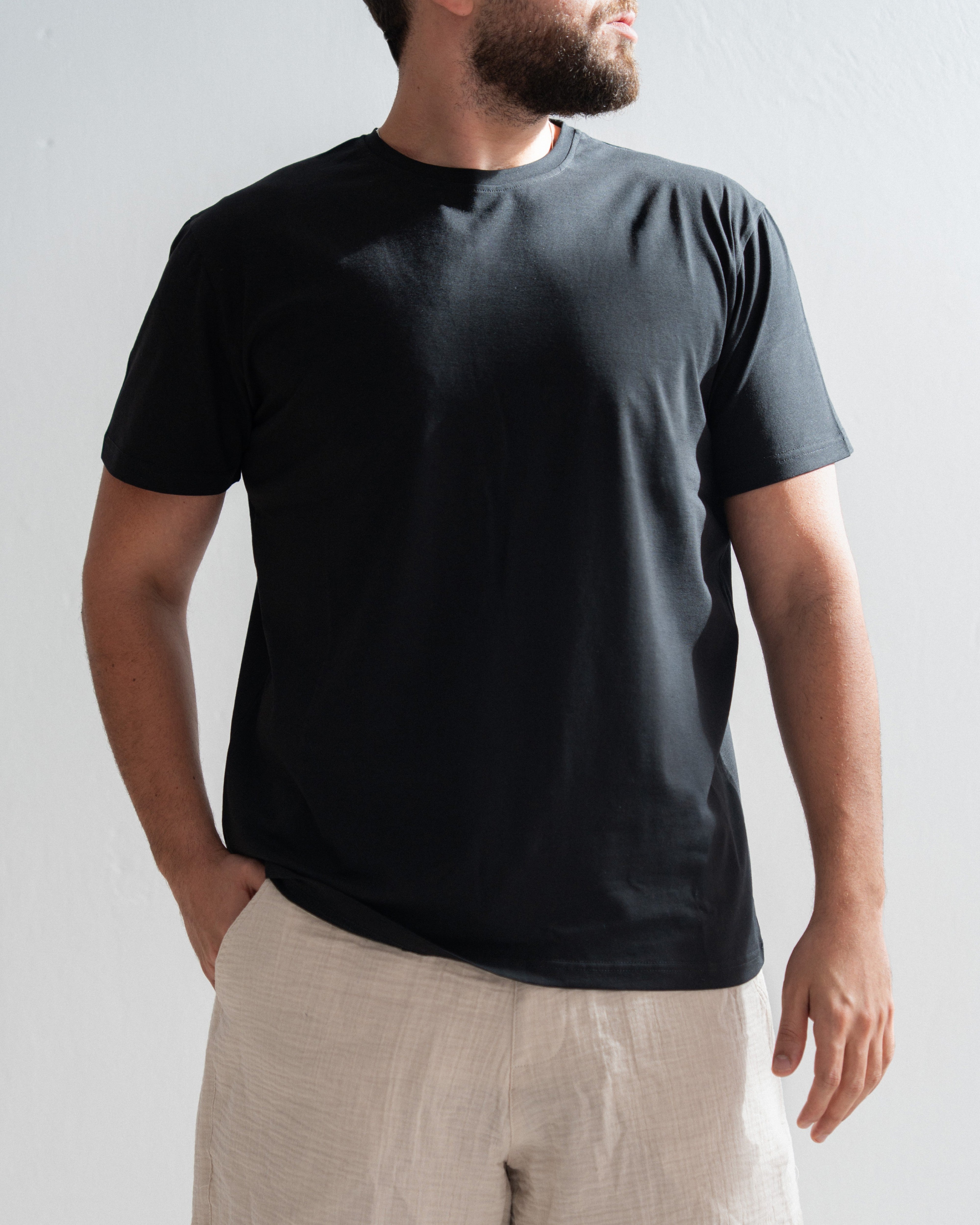 Regular Cotton T-shirt - Crew Neck