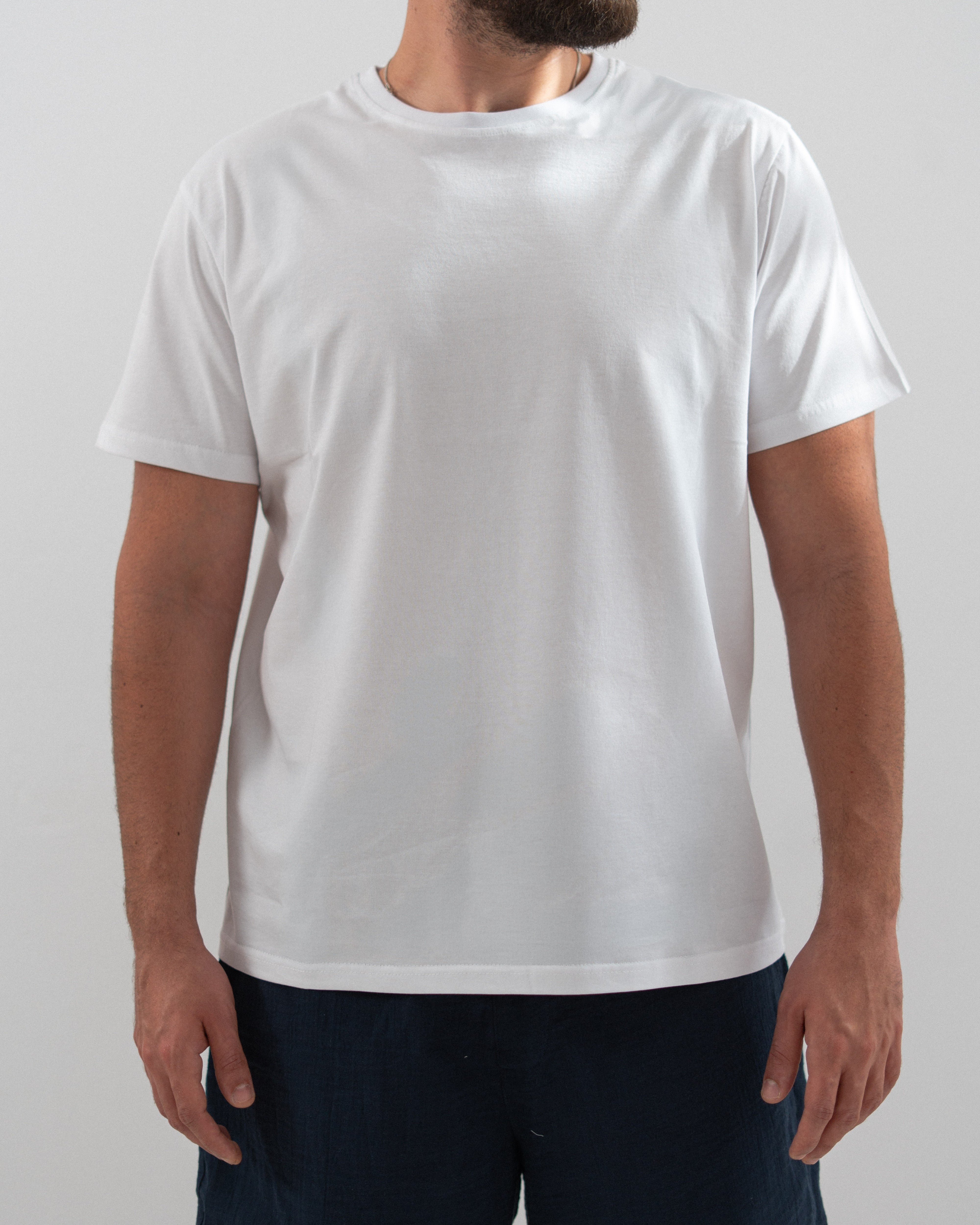 Regular Cotton T-shirt - Crew Neck