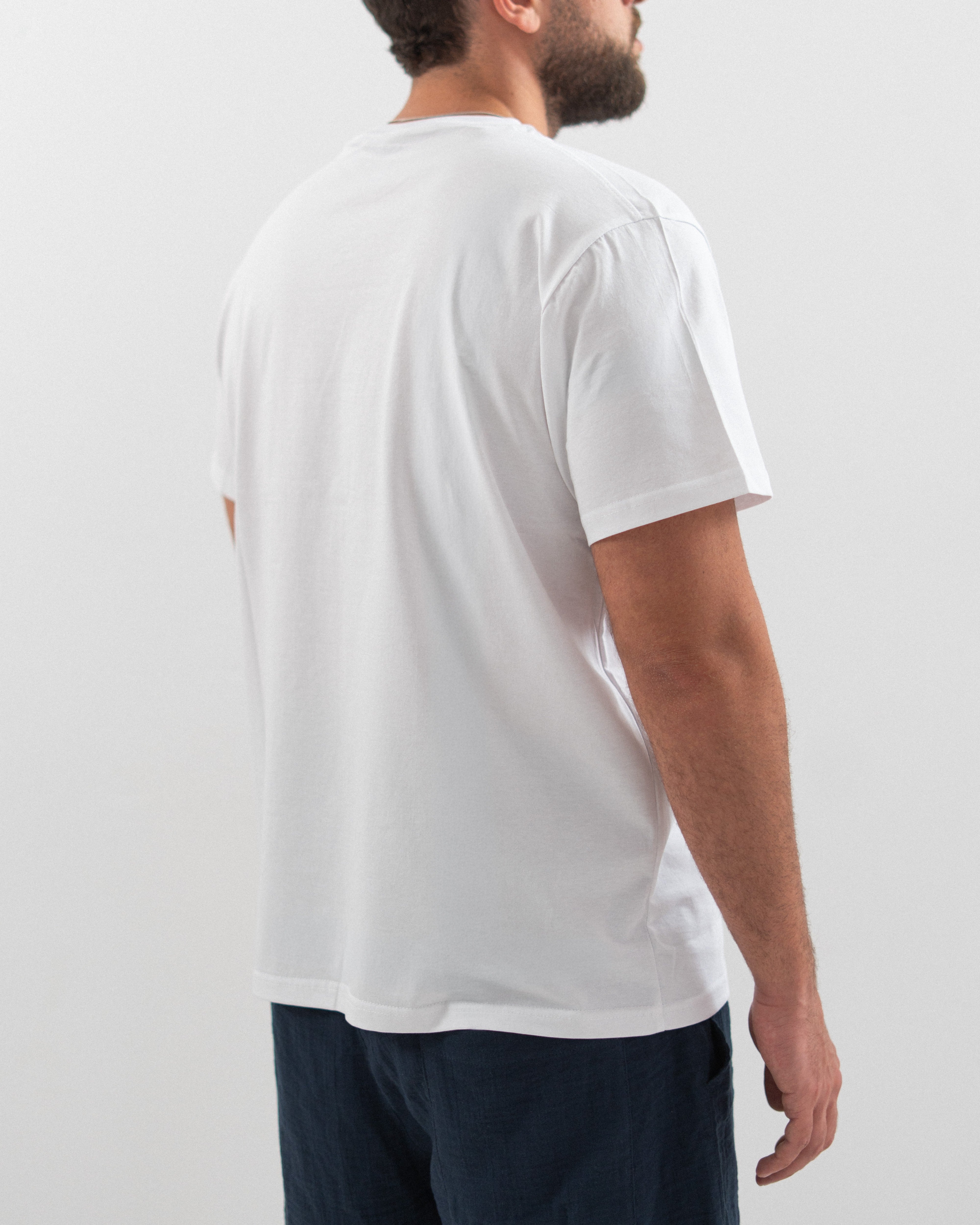 Regular Cotton T-shirt - Crew Neck