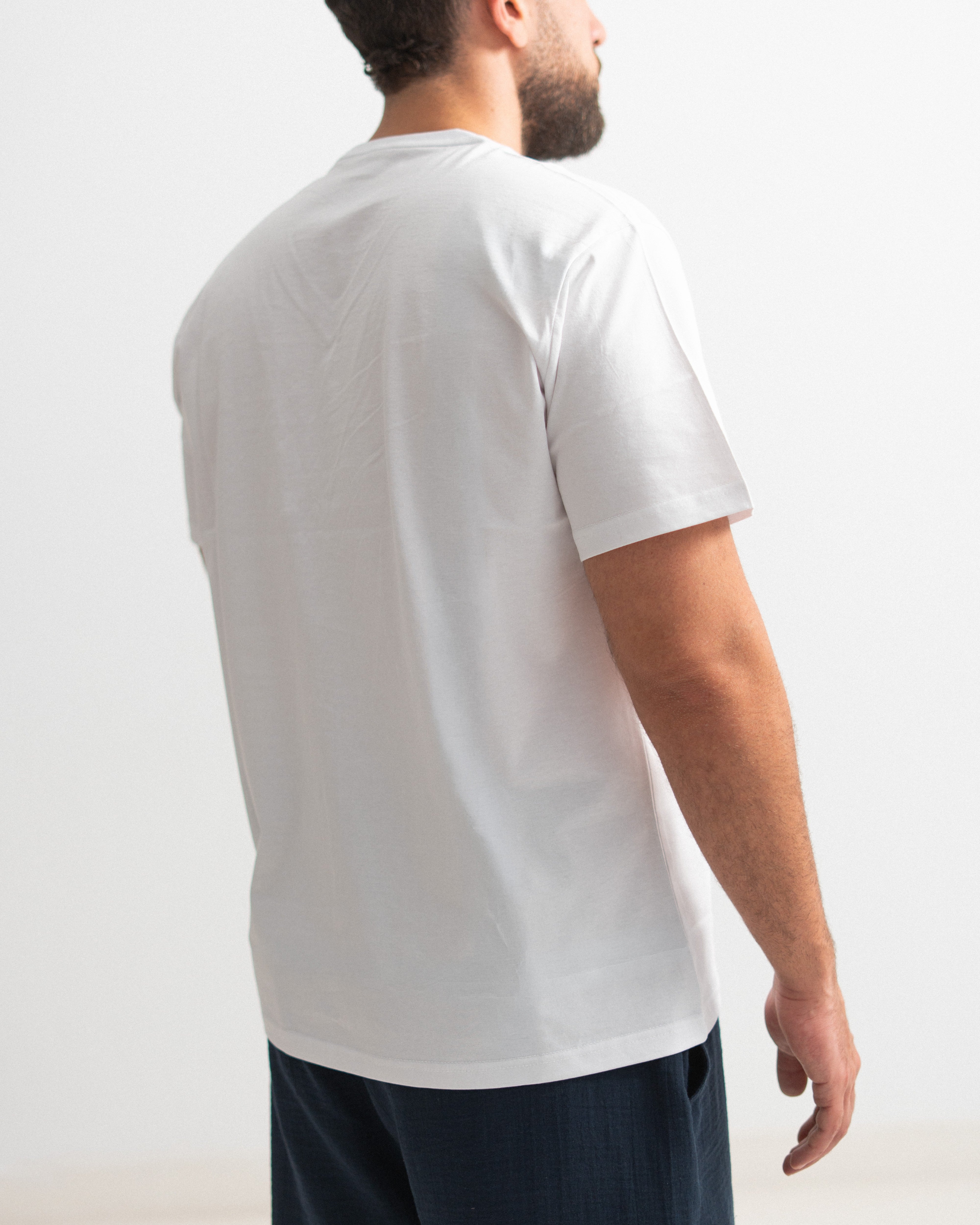 Regular Cotton T-shirt - V Neck