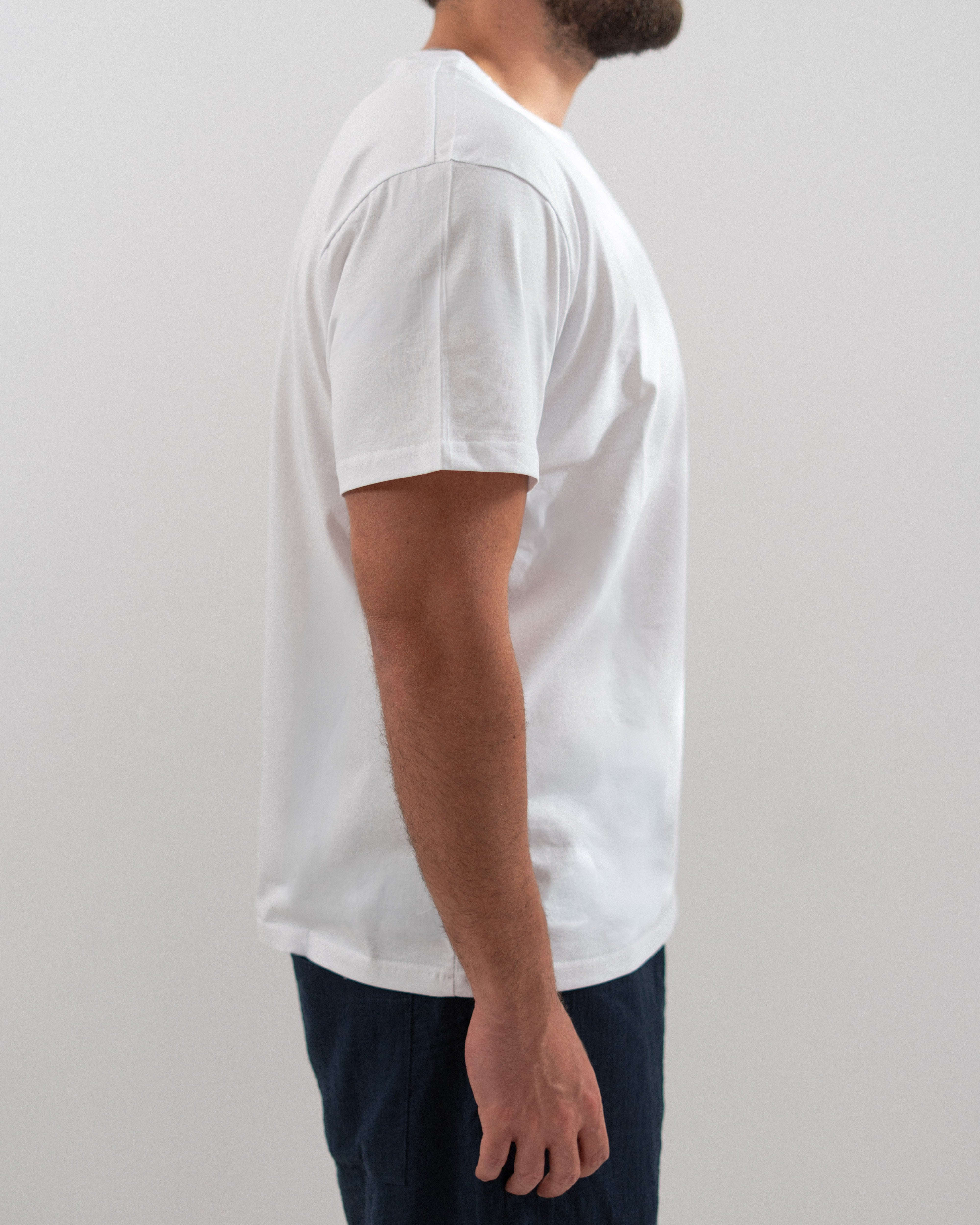 Regular Cotton T-shirt - Crew Neck