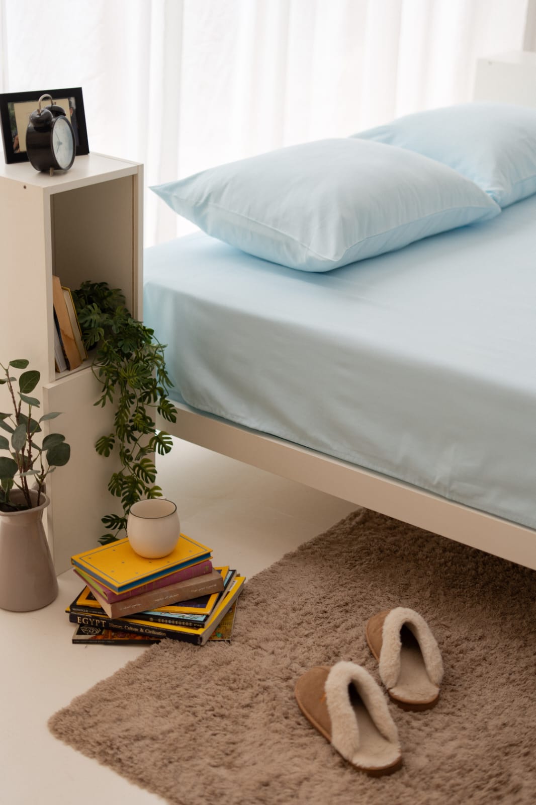 Bedsheet Set - Flat - Non-Wrinkle
